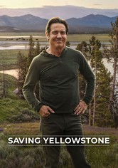 Saving Yellowstone