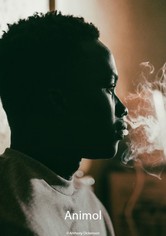 Animol