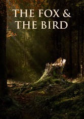 The Fox and the Bird