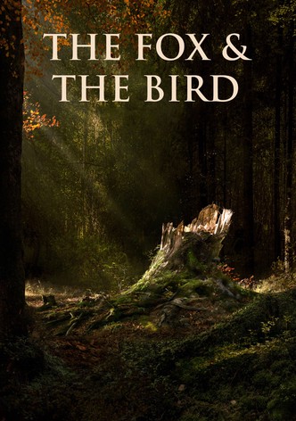 The Fox and the Bird
