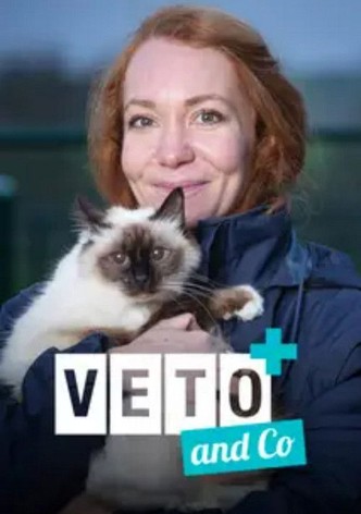 Saison 4