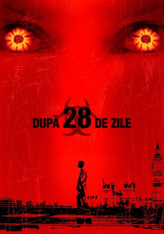 Dupa 28 de zile