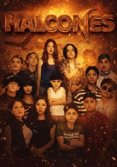 Halcones