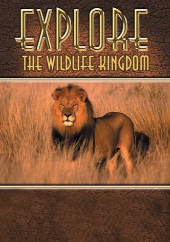 Explore the Wildlife Kingdom