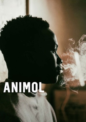 Animol