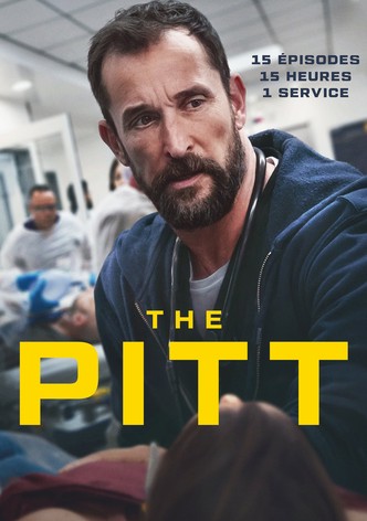  The Pitt