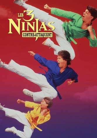 Ninja Kids 2 : Les 3 Ninjas contre-attaquent