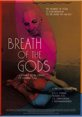 Der atmende Gott - Eine Reise zum Ursprung des modernen Yoga