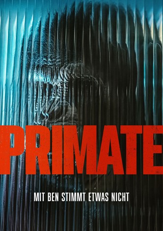 Primate