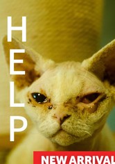 Help