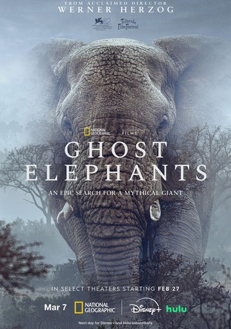Ghost Elephants