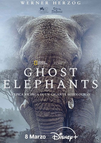 Ghost Elephants
