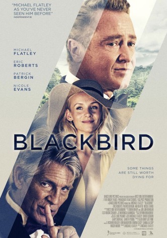 Blackbird