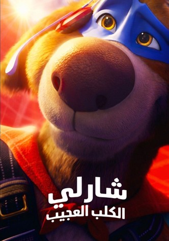 Charlie the Wonderdog