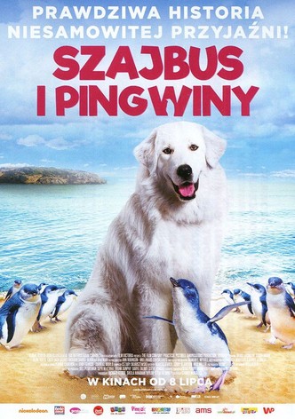 Szajbus i pingwiny