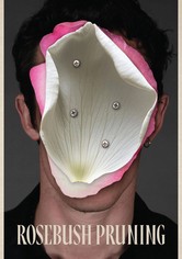 Rosebush Pruning