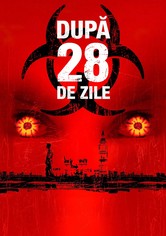 Dupa 28 de zile