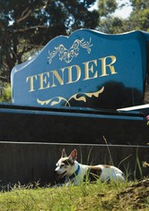 Tender