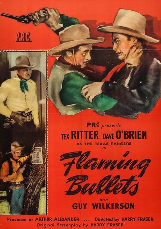 Flaming Bullets