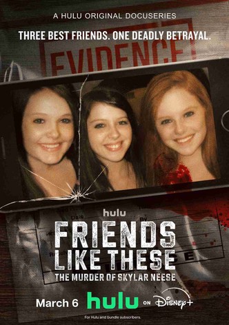 Friends Like These: The Murder of Skylar Neese - Season 1