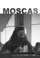 Moscas
