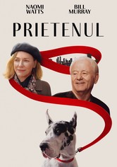 Prietenul