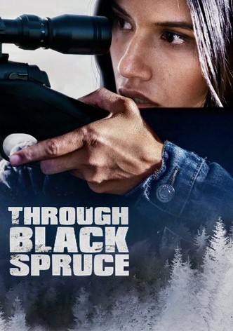 Through Black Spruce