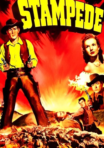 Stampede