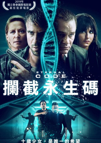 永恒代码