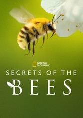 Secrets of the Bees