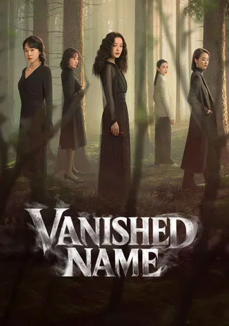 Vanished Name poster