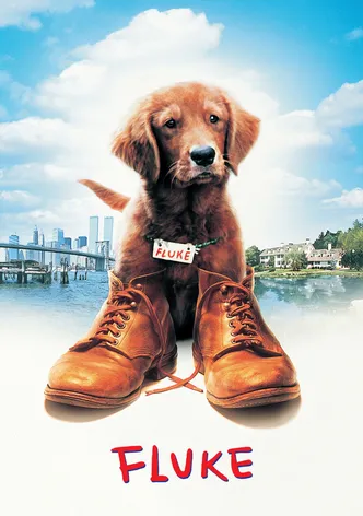 Fluke poster