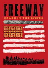 Freeway: Crack in the System