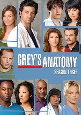 Grey S Anatomy Season 3 Watch Episodes Streaming Online