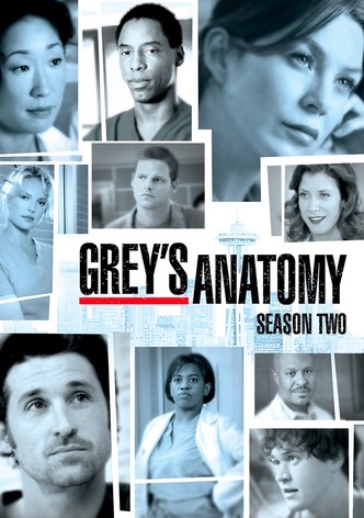 Grey S Anatomy Stream Tv Show Online