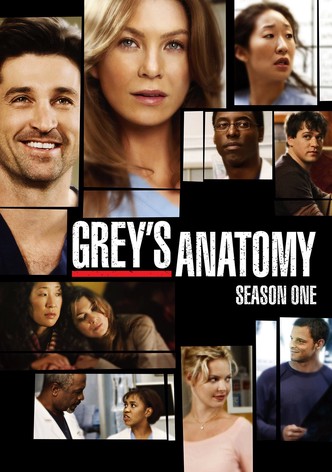 Grey S Anatomy Stream Tv Show Online