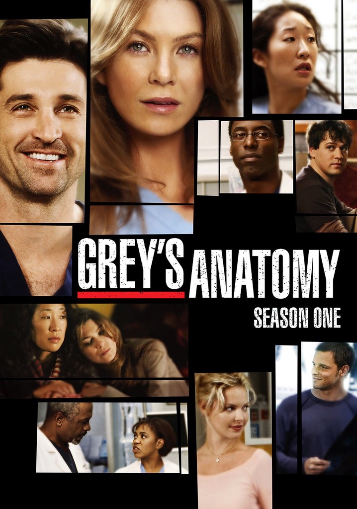 Putlocker greys anatomy online s17 e1