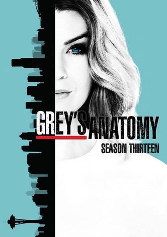 Grey S Anatomy Streaming Tv Show Online