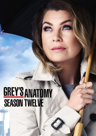 Grey s Anatomy Season 12 watch episodes streaming online