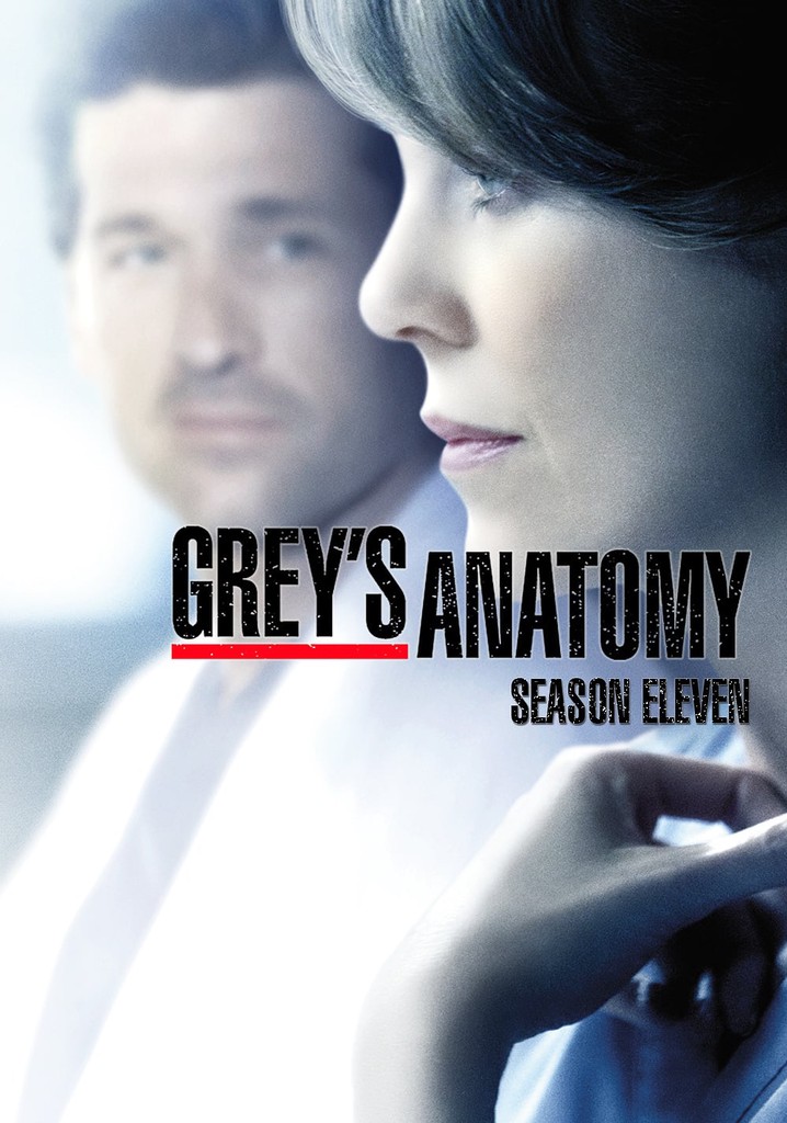 Capitulos Temporada 15 Anatomia De Grey