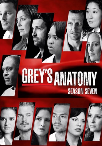 Grey S Anatomy Season 7 Watch Episodes Streaming Online