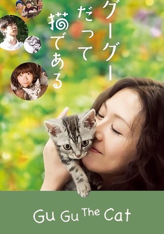 Gu Gu, the Cat