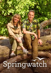 Springwatch