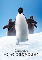 ペンギンの住む氷の世界
