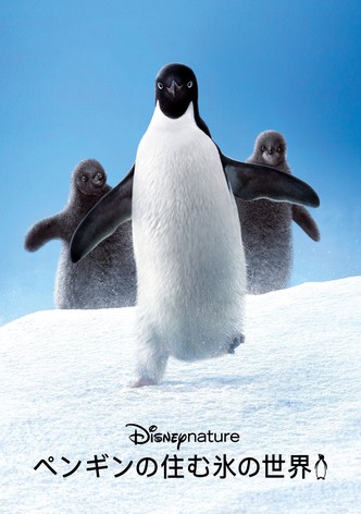ペンギンの住む氷の世界