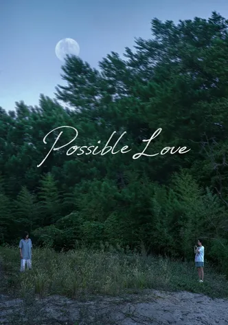 Possible Love poster