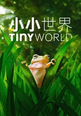 小小世界