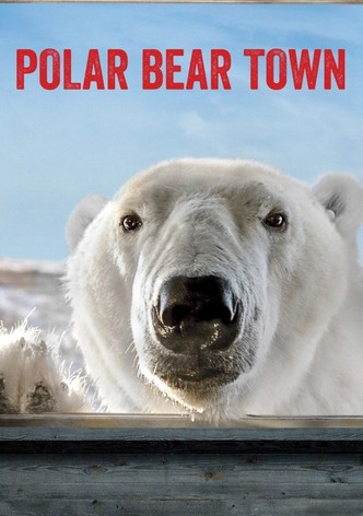 Polar Bear Town