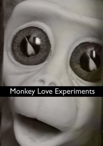 Monkey Love Experiments
