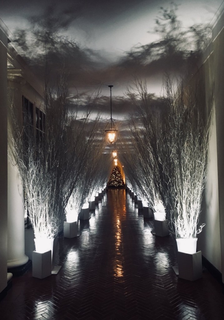 2017 Holiday Decorations at the White House